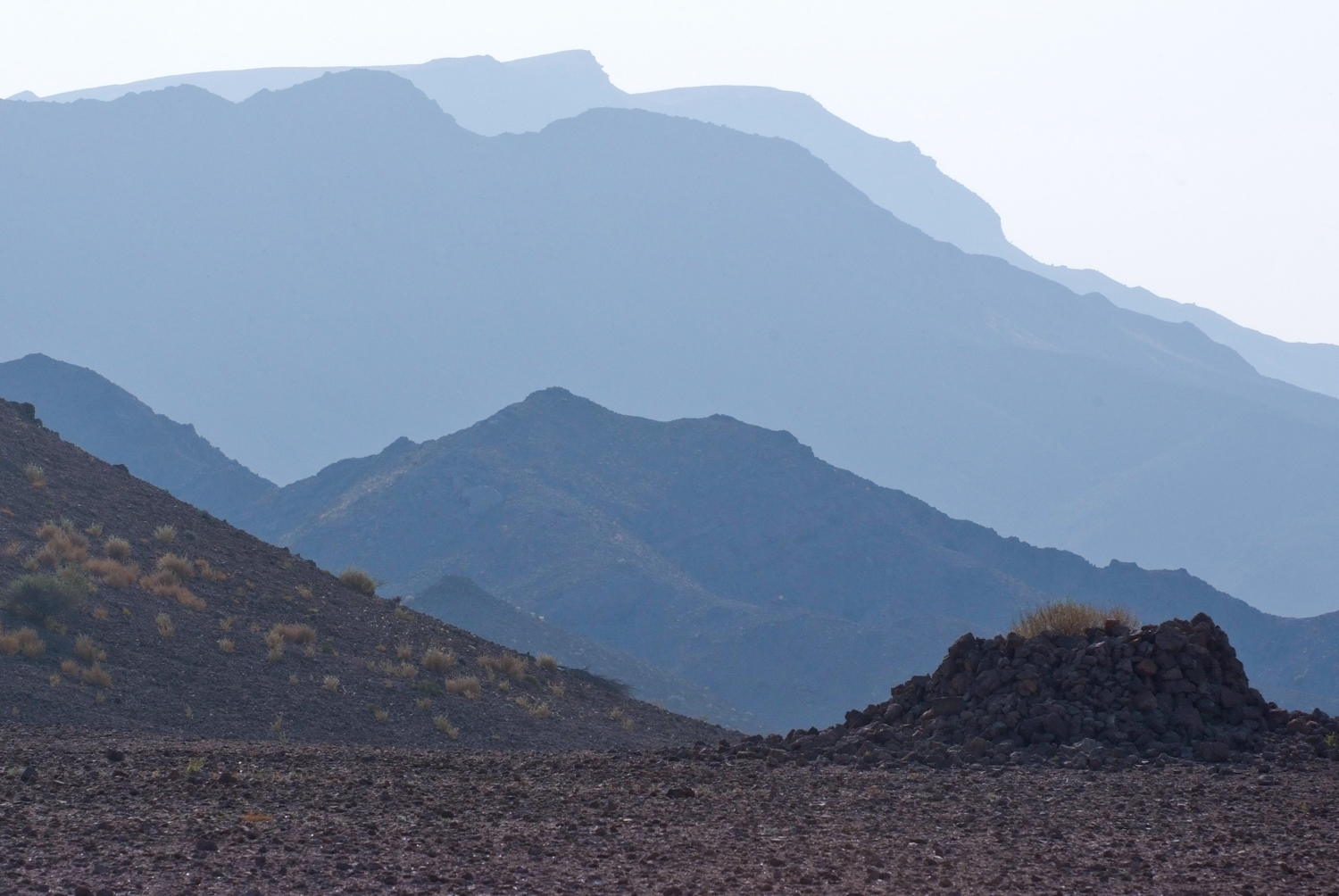 photo gallery picture