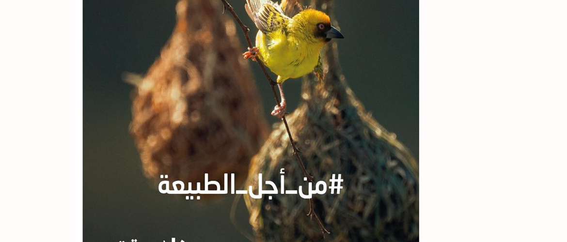 <p>The Sultanate represented by the Ministry of Environment and Climate Affairs celebrated today (Friday) the World Environment Day, which falls on the fifth of June of each year, which comes under the slogan 