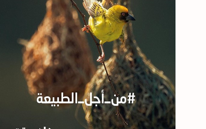 <p>The Sultanate represented by the Ministry of Environment and Climate Affairs celebrated today (Friday) the World Environment Day, which falls on the fifth of June of each year, which comes under the slogan