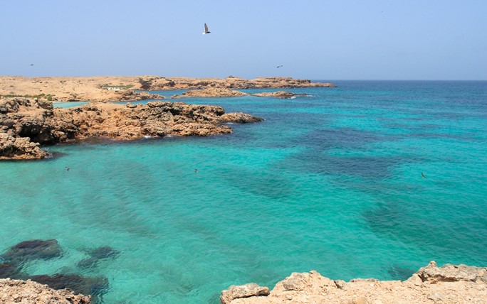 <p>The Environment Authority carried out a field visit to the Daymaniyat Islands Nature Reserve, with the aim of finding all the shores of the reserve and ensuring their cleanliness, and ensuring that the reserve's employees were keen on keeping the shores of the reserve clean and that the reserve's visitors were aware of the importance of maintaining the cleanliness of the places they visited and collecting waste.</p>
<p>This visit was organized by the General Directorate of Nature Conservation and Environment Department in Al Batinah South Governorate, and it was noticed that all the beaches of the reserve are clean, as the reserve's employees collect the waste that was present on the beaches of some islands as part of their monthly work program.</p>
<p>Also, some of the reserve's visitors, whether among the fishermen or the tourist groups, have been violated by going to the islands during this period (the period of banning descent to the islands from the beginning of May to the end of October of each year).</p>
<p>The Daymaniyat Natural Islands are considered one of the natural reserves in the Sultanate, which was declared a nature reserve in 1996 AD, and it is an archipelago of nine islands off the coast of the Wilayat of Seeb and the State of Barka (Daymaniyah, Hayout, Jabal Al Kabeer, Al Jabal Al Saghir, Al Salalah, Lumiya, Qisma, Al Joun, and Children of John. ), And these islands are distinguished by their pristine nature and beautiful scenic landscapes that qualify them to become a museum of nature.</p>
<p>It is characterized by a diversity of physical components between limestone and ancient coral reefs. It also has steep slopes towards the sea, and these slopes continue into the water in a steep slope. The islands are bordered by shallow and wide sandy cliffs, as well as by a prominent coral range.</p>
<p>The Daymaniyat Islands Nature Reserve is the natural habitat for a wide range of wildlife vocabulary, as there is a different group of plants up to 15 species in the land part and a group of algae and marine plants in the marine part.</p>
<p>We also find that many birds of different types take the reserve as a sanctuary due to the availability of food and the nature of the shallow waters of the islands, and the islands are an important station for migratory birds such as the eagle eagle (Pandion haliaetus) and the sooty falcon (Falco concolor), and the island turns into a wonderful panorama when thousands of sea birds migrate during Breeding season, sea turtles take the Daymaniyat Islands Nature Reserve as a nesting station and lay eggs in them every year. In the marine part, we find that there is a diversity of marine organisms and coral reefs, as there are a number of species of marine mammals and fish in the reserve.</p>
<p>This natural difference and calm is what distinguishes these islands and is a source of attraction for the tourism movement in the reserve, where we find tourist groups come to enjoy the beauty of nature in the reserve and to practice activities in it such as swimming, camping and diving, and the presence of the tourist movement in the reserve causes the presence of some wrong behaviors from some that lead to harm to nature. Such as throwing waste and not organizing the places that are visited or disturbing the living creatures in the reserve and tampering with their places.</p>
<p>It is the role of the Environment authority, which has issued laws and regulations that ensure that the components of the natural reserve are not harmed, as it has determined the permits necessary to practice some types of activities within the permissible periods and the authority has set a period of the year. Landing to the islands is prohibited in the period from the beginning of May to the end of October. each year.</p>
<p>The Environment authority has also coordinated with government and private agencies to ensure that there is no waste in the reserve, which comes through visitors to the reserve or through ships passing near the reserve, as the containers of the Omani Holding Company for Environmental Services (Bee'ah) have been allocated for throwing waste, as well as the help of workers in the municipality of Barka and the municipality of Seeb. To collect the remnants discarded by some violators.</p>
<p>The Environment authority would like to thank all individuals and companies that abide by the instructions issued and maintain the cleanliness of the natural reserve. It also thanks the volunteers who contribute to the cleaning campaigns that the authority or other institutions carry out in coordination with the Environment authority</p>