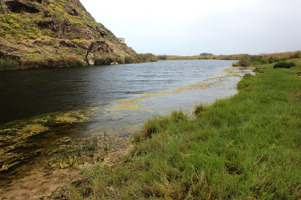 photo gallery picture