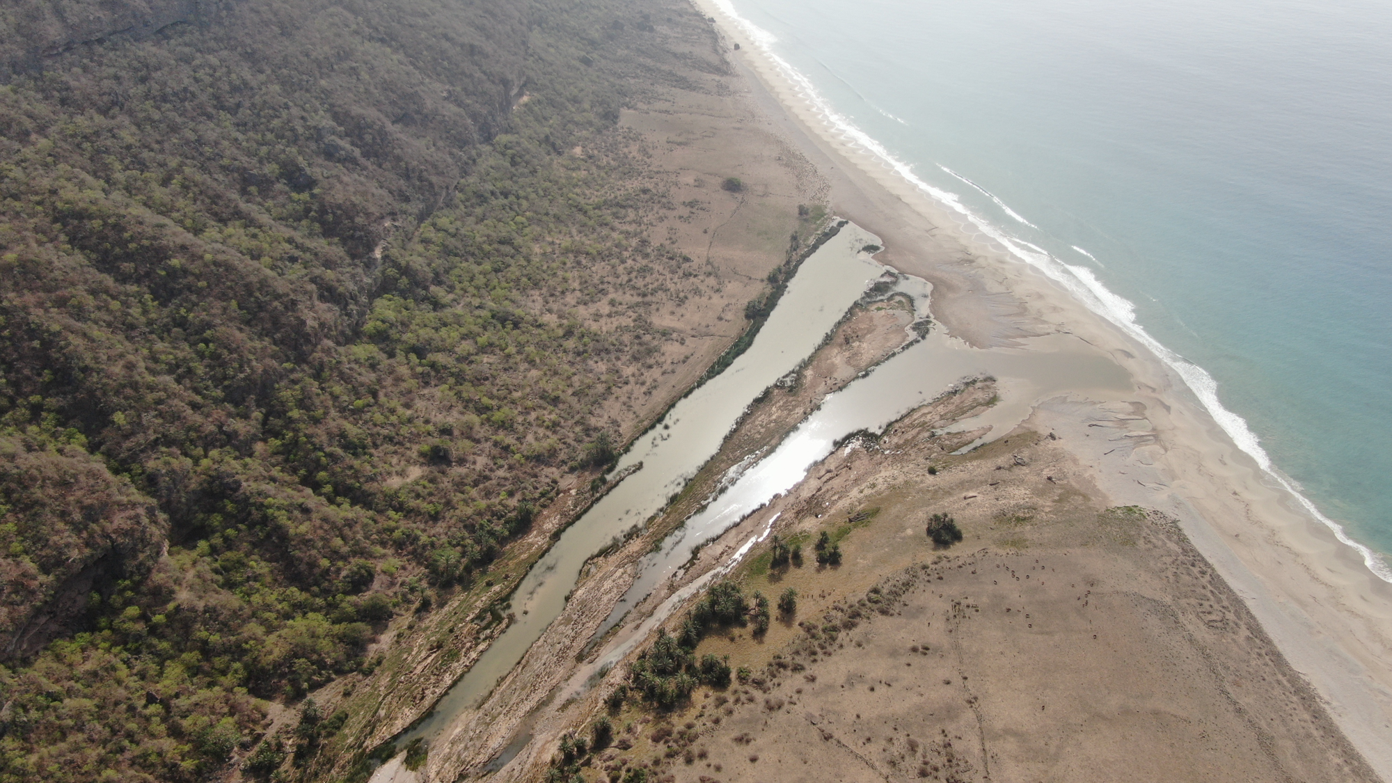 صورة لمعرض الصور