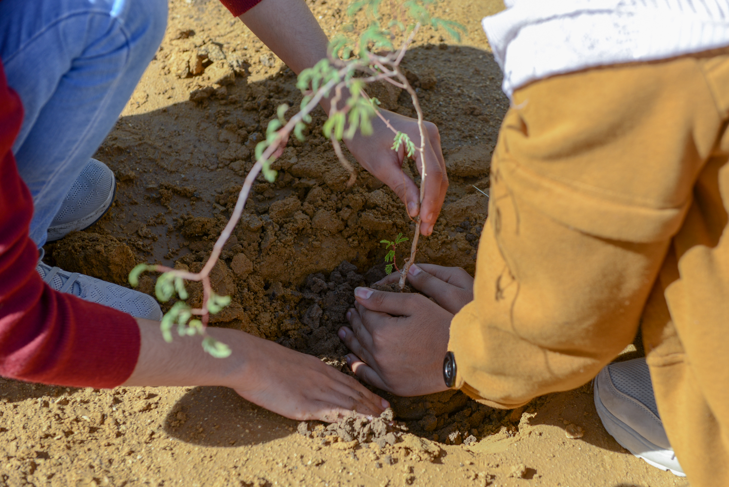 Kids and environment