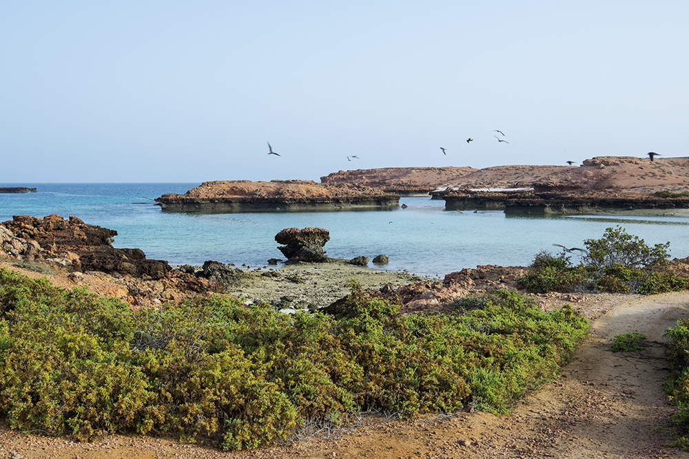 photo gallery picture