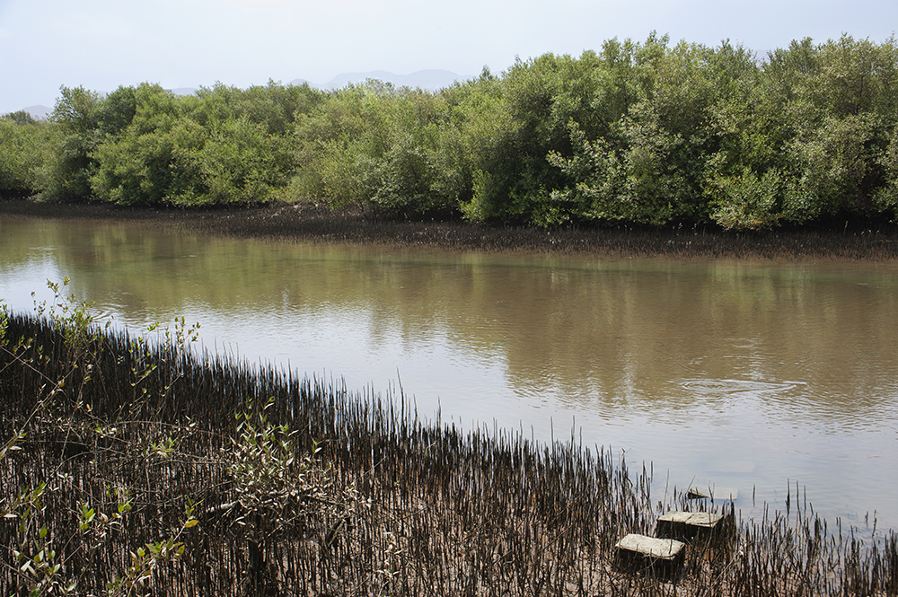 photo gallery picture