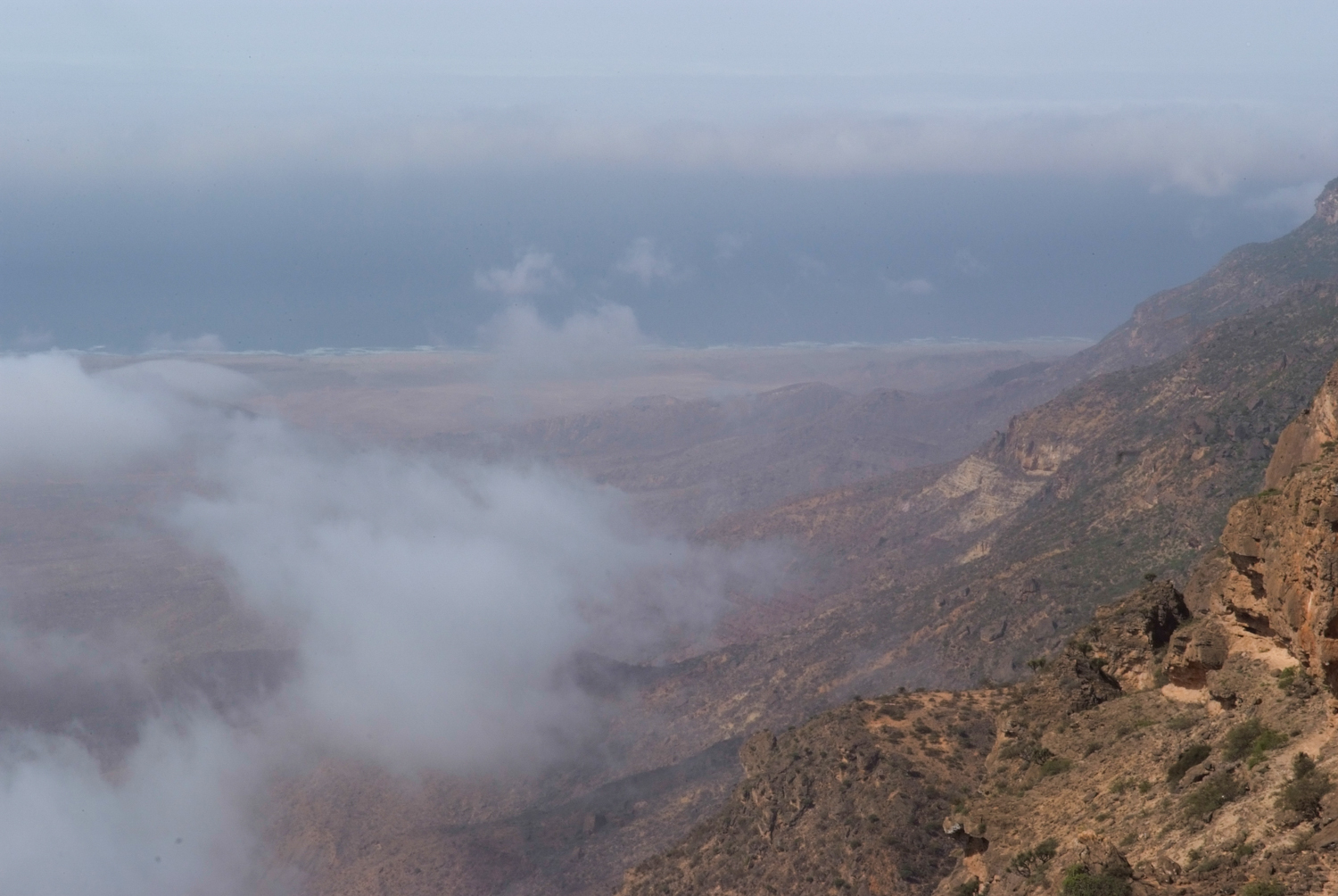 photo gallery picture